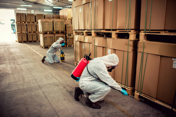 Best Exterminator Services  in Mcadenville, NC
