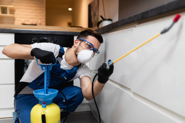Best Rat Extermination Near Me  in Mcadenville, NC