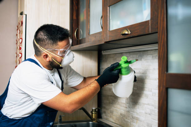 Best Affordable Pest Control Services  in Mcadenville, NC