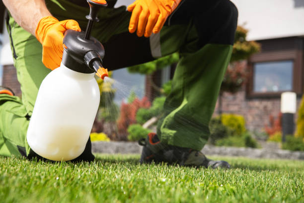 Best Emergency Pest Control  in Mcadenville, NC