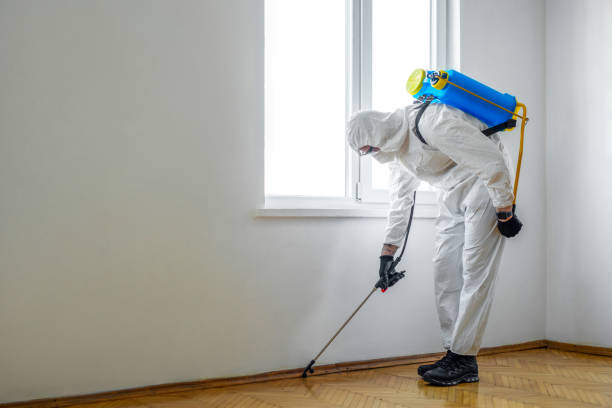 Best Local Pest Control Services  in Mcadenville, NC