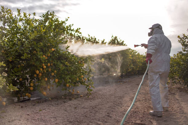 Best Bed Bug Extermination  in Mcadenville, NC