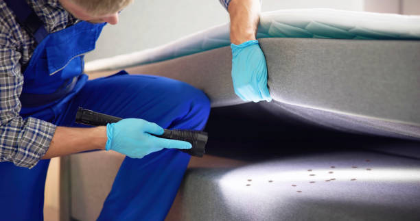 Best Pest Prevention Services  in Mcadenville, NC