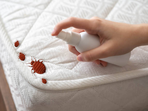 Best Local Pest Control Services  in Mcadenville, NC