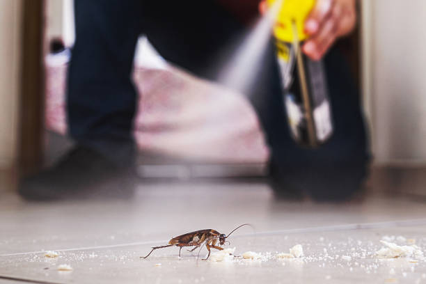 Best Rodent Control Near Me  in Mcadenville, NC